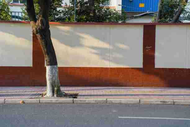 深度解析:91网画面流出,涉及多方利益